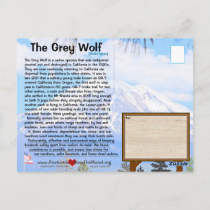 Cartão Postal A Cinza Wolf está ameaçada FEBhh sem fazer nada
