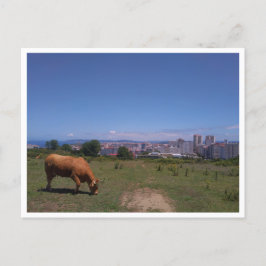 Cartão Postal A Coruna, Galicia (Espanha)