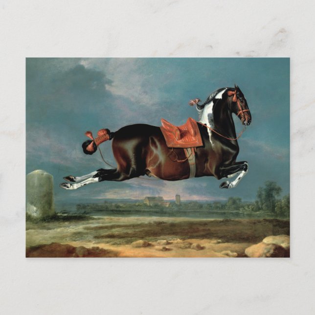 Cartão Postal A criação do cavalo malhado "Ceheroína" (Frente)