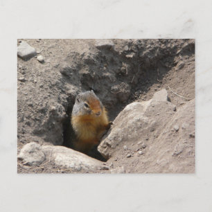 Cartão Postal A Criatura Rodent Emerges