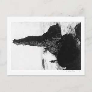 Cartão Postal A Duquesa Rock em Newport, Oregon