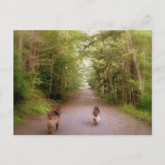 Cartão Postal A estrada para casa