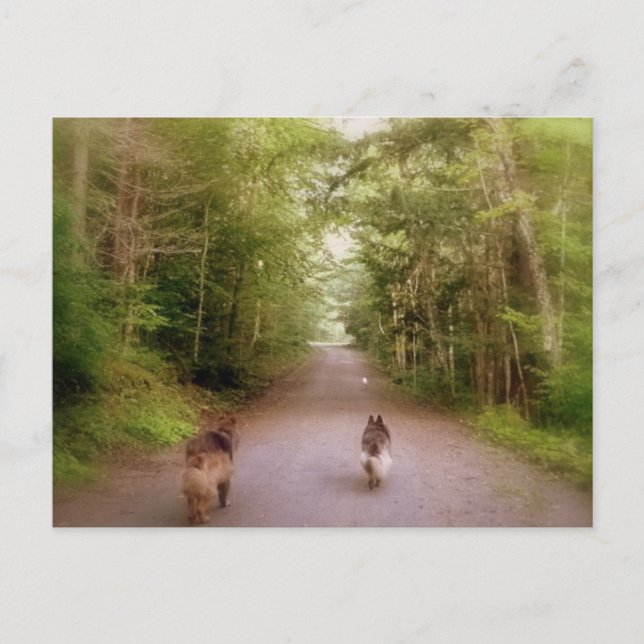 Cartão Postal A estrada para casa (Frente)