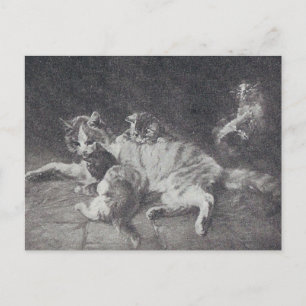 Cartão Postal A Família Cat