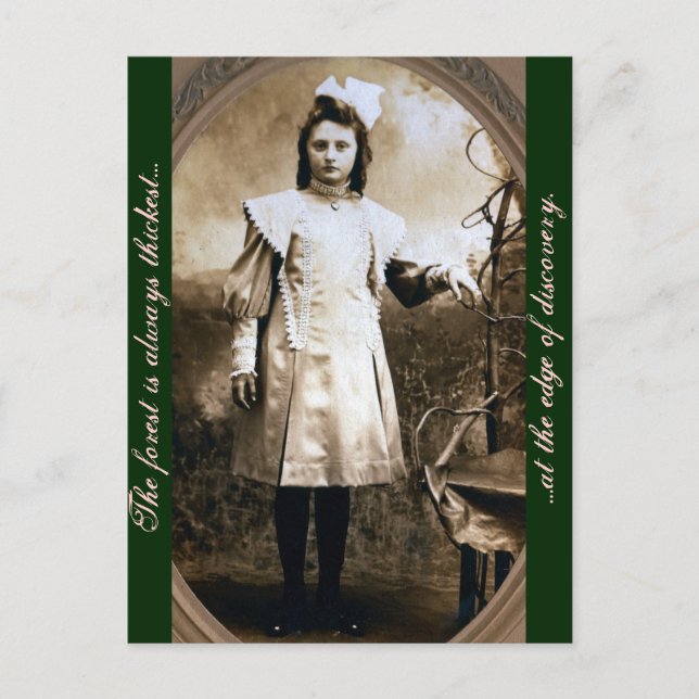 Cartão Postal A floresta é sempre mais espessa na borda de... (Frente)