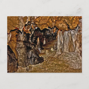 Cartão Postal A Flórida Cavernas I.