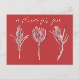 Cartão Postal A flower for you