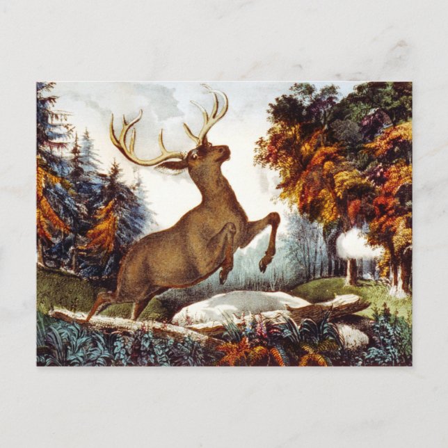 Cartão Postal A Foto (Frente)