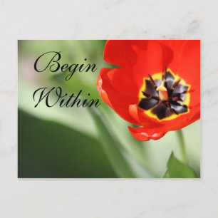 Cartão Postal A Fotografia Inner Tulip