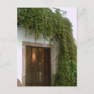 Cartão Postal A frente de um prédio em Taxco com uma vinha