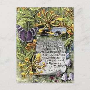 Cartão Postal A fruta do espírito