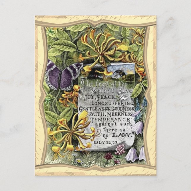 Cartão Postal A Fruta Do Espírito (Frente)