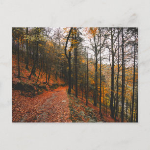 CARTÃO POSTAL A GLEN DO DIABO, MONTANHAS WICKLOW, IRLANDA