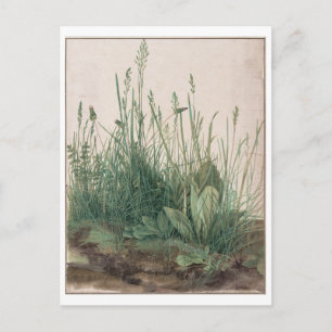 Cartão Postal A Grande Peça de Turim por Albrecht Durer