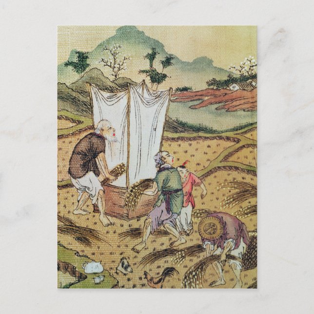 Cartão Postal A história do arroz (Frente)