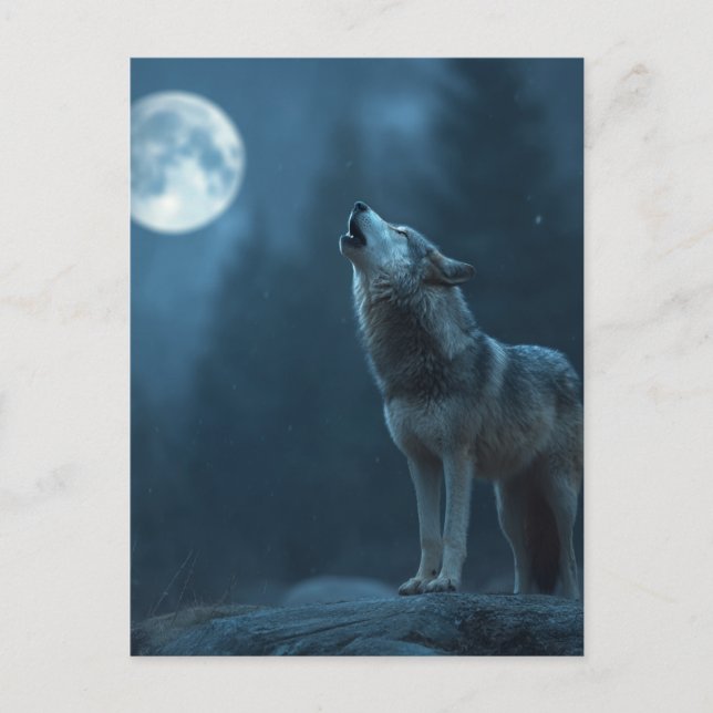 Cartão Postal A Howling Wolf (Frente)