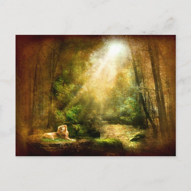 Cartão Postal A Humildade do Rei (Frente)