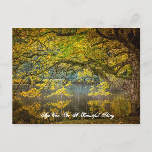 Cartão Postal A idade pode ser uma coisa bonita (Frente)