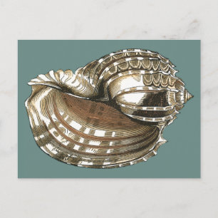 Cartão Postal A Joia do Oceano