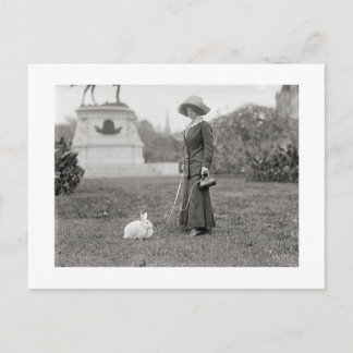 Cartão Postal A Louca Senhora Coelhinha