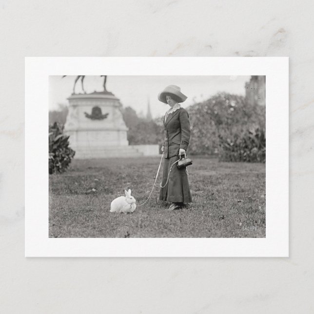 Cartão Postal A Louca Senhora Coelhinha (Frente)