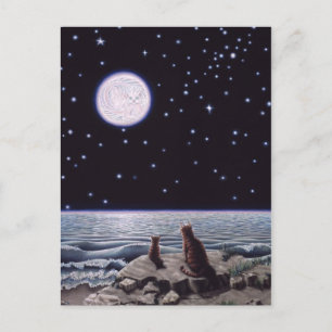 Cartão Postal À Luz da Lua de Peixe Gato