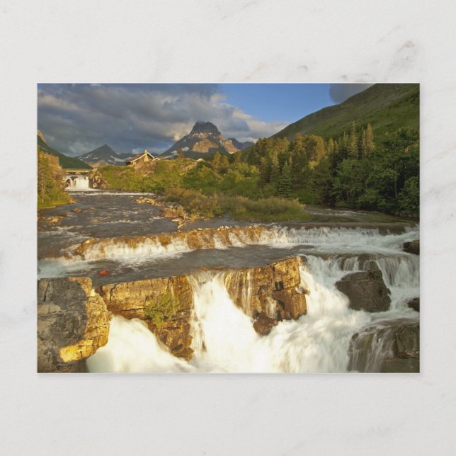 Cartão Postal A luz da manhã saúda Swiftcurrent Falls no (Frente)