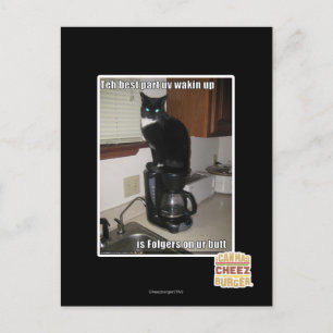 Cartão Postal a melhor parte do uv desperta