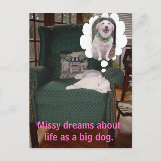 Cartão Postal A Missy sonha com a vida como um cão grande. (Frente)