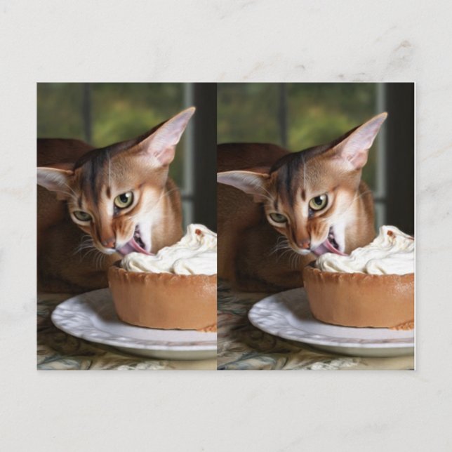 Cartão Postal A Moment of Sweet Stillness – Art Postcard (Frente)