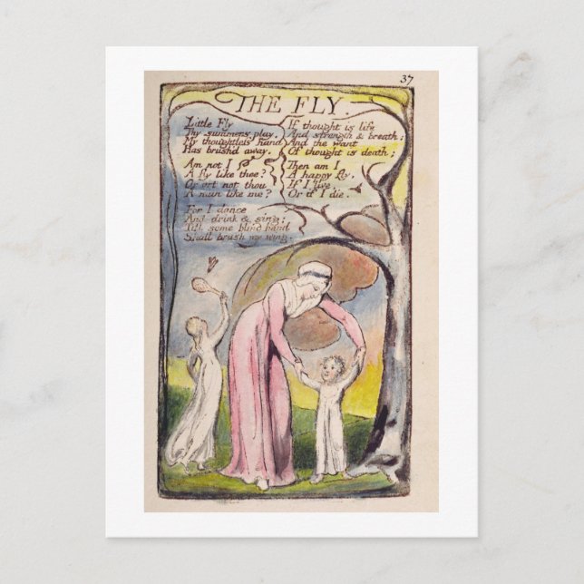 Cartão Postal "A mosca", placa 37 de "Canções de Inocência e o (Frente)