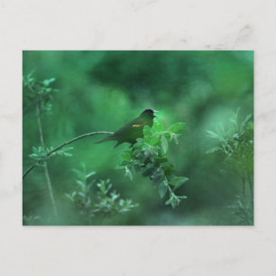 Cartão Postal A Música