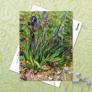 Cartão Postal A Paisagem Iris Vincent van Gogh