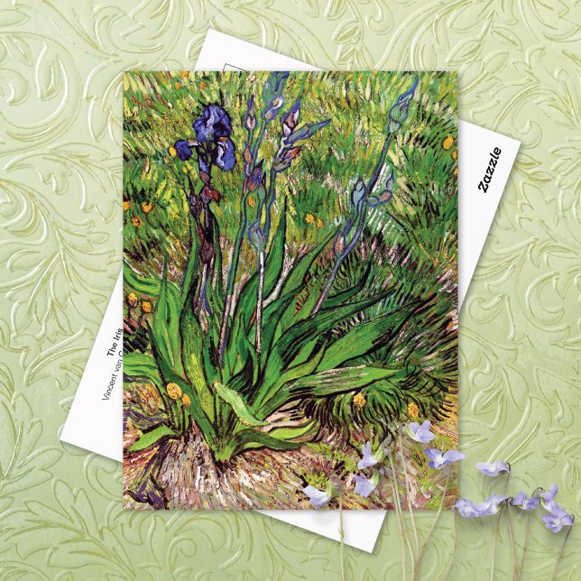 Cartão Postal A Paisagem Iris Vincent van Gogh (Criador carregado)
