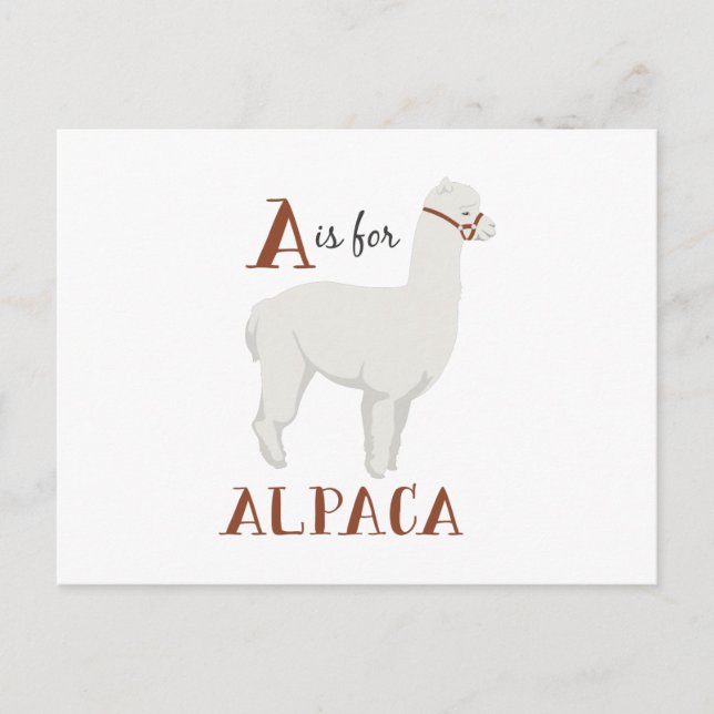 Cartão Postal A para a alpaca (Frente)