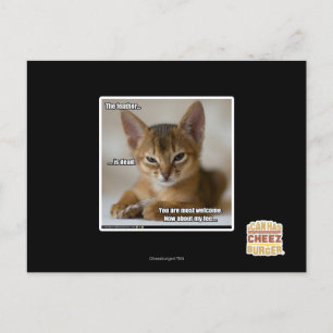 Cartão Postal A pena é morto.