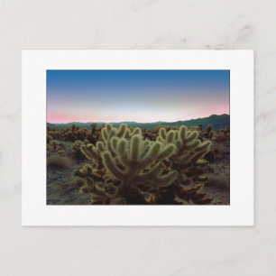 Cartão Postal "A Pointy View"