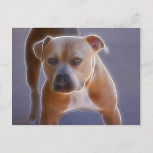 Cartão Postal A postura