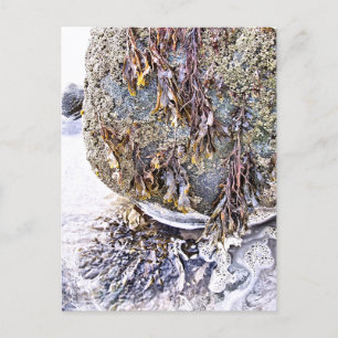 CARTÃO POSTAL A PRAIA