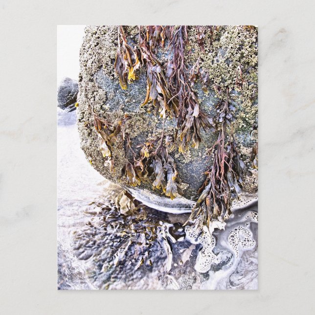 CARTÃO POSTAL A PRAIA (Frente)