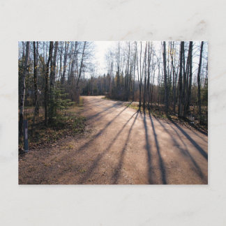 Cartão Postal à primeira luz