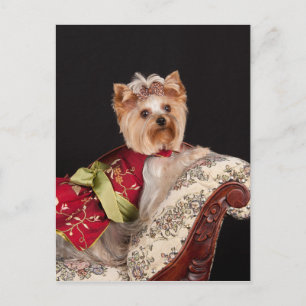 Cartão Postal A Rainha Yorkie