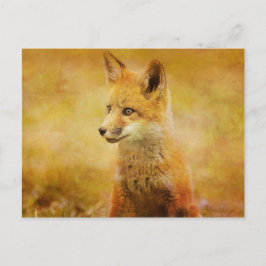 Cartão Postal A Raposa na Madeira