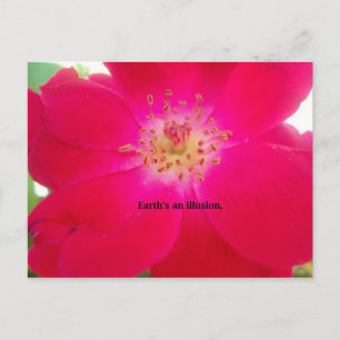 Cartão Postal A Rosa Cósmica: O Design da Ilusão da Natureza