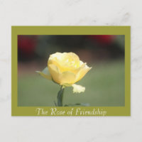 A Rosa da Amizade