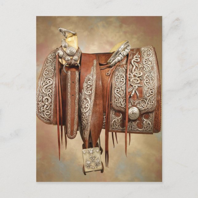 Cartão Postal A sela mais cara do mundo (Frente)