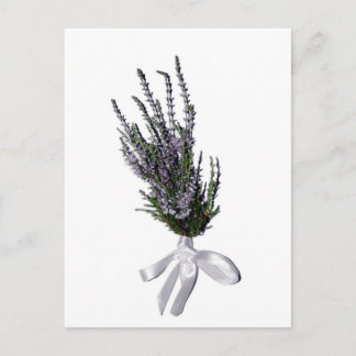 Cartão Postal A Sprig of Heather, da Escócia