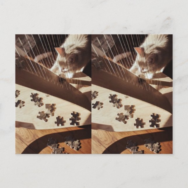 Cartão Postal A Still Moment in Sunlight (Frente)