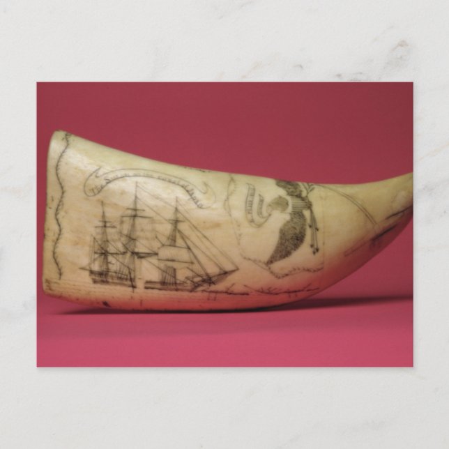 Cartão Postal A Susan na costa do Scrimshaw no Japão (Frente)