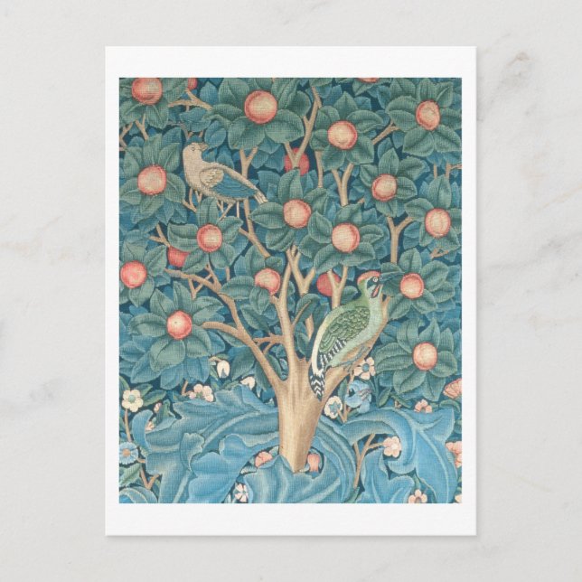 Cartão Postal A tapeçaria do Pica-Pau, detalhes dos pica-pau (Frente)